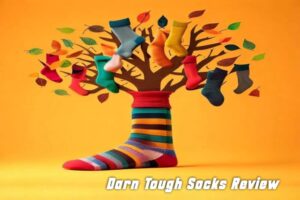 Darn Tough Socks